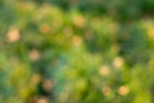 It's not art. It's c**p.